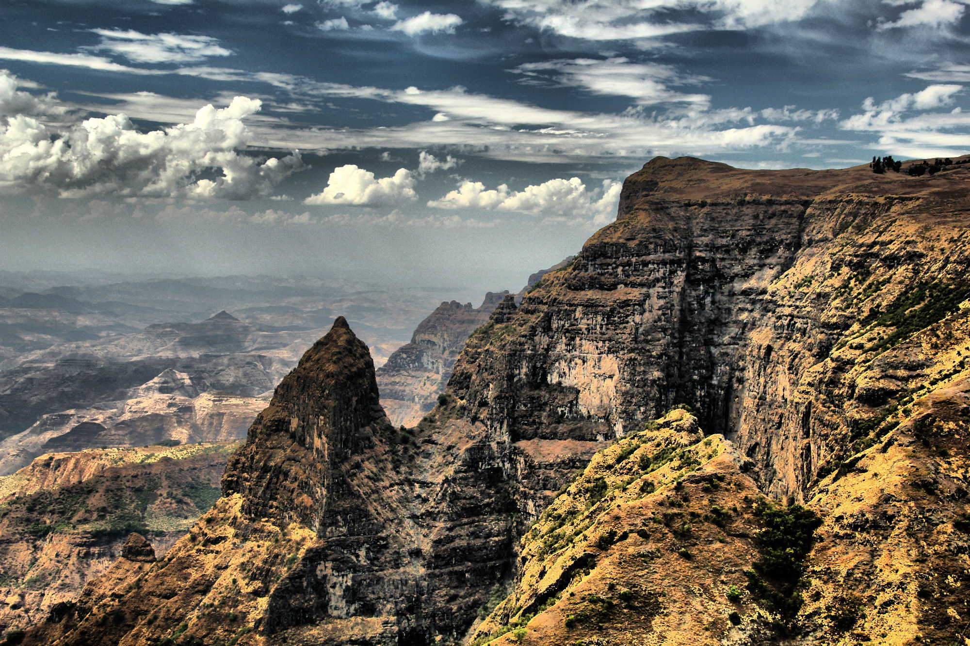 Whispers of the Simien: Encounters with the Gelada Baboons