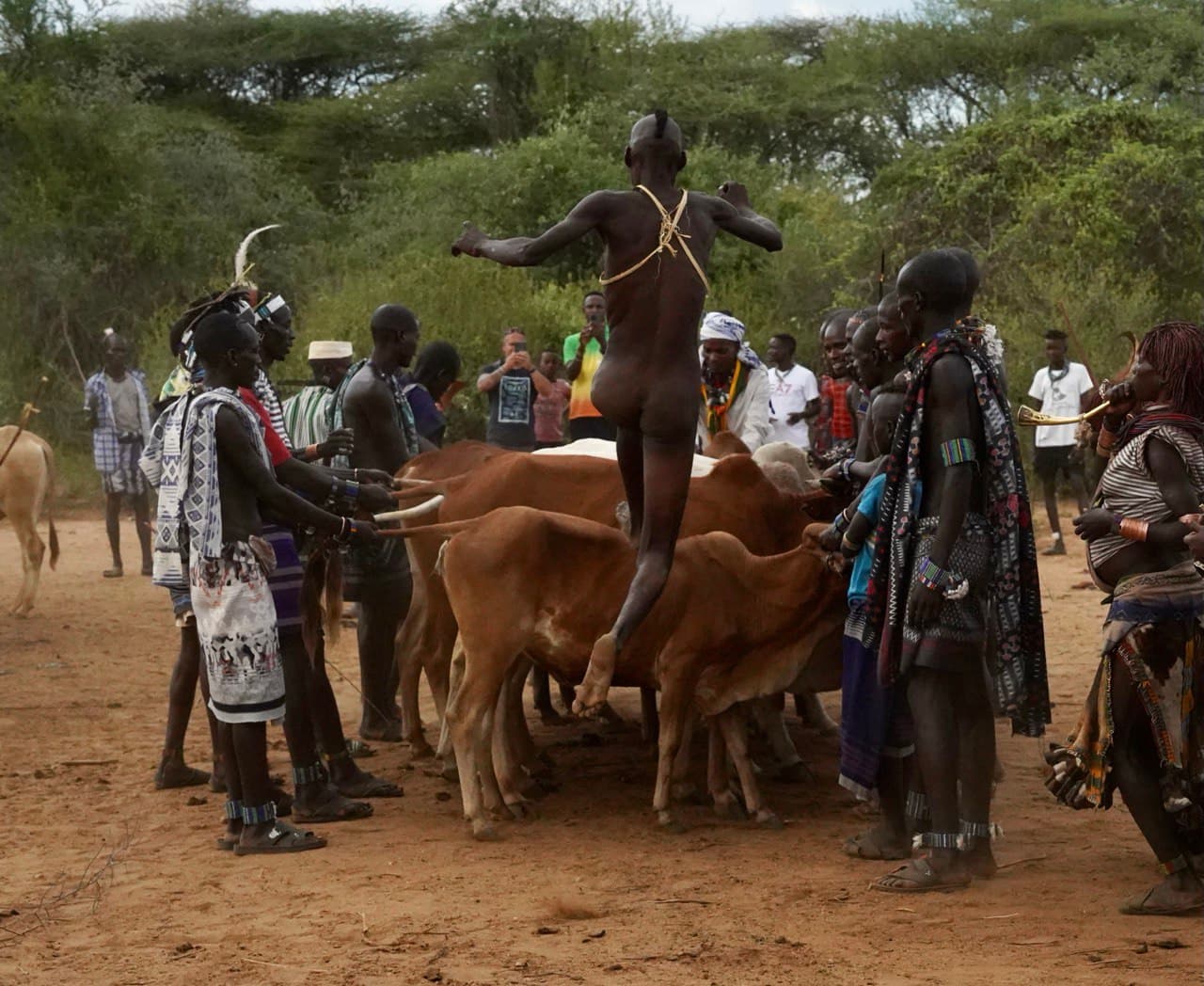 Hamer people participating in a bull jumping ceremony