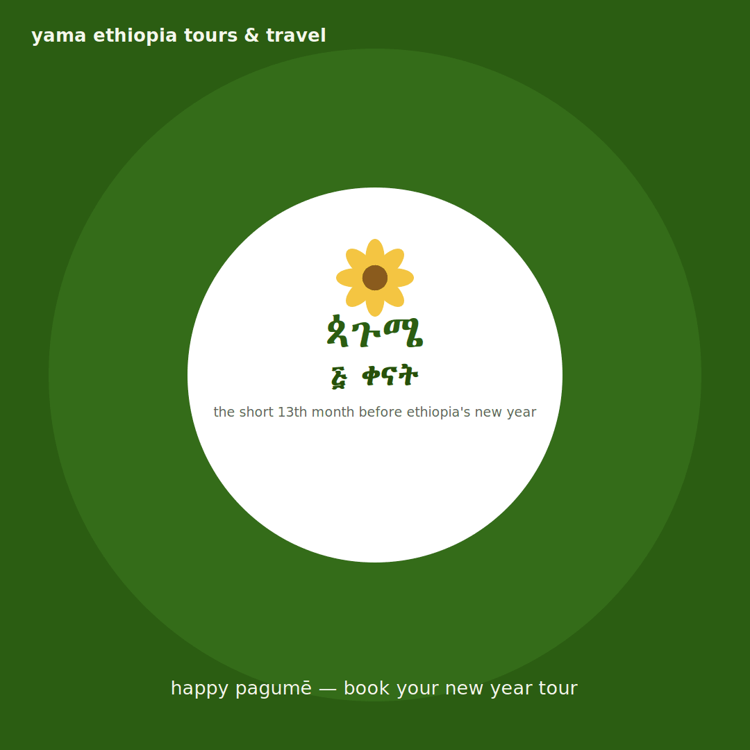 Yellow Meskel daisies blooming across a green Ethiopian hillside