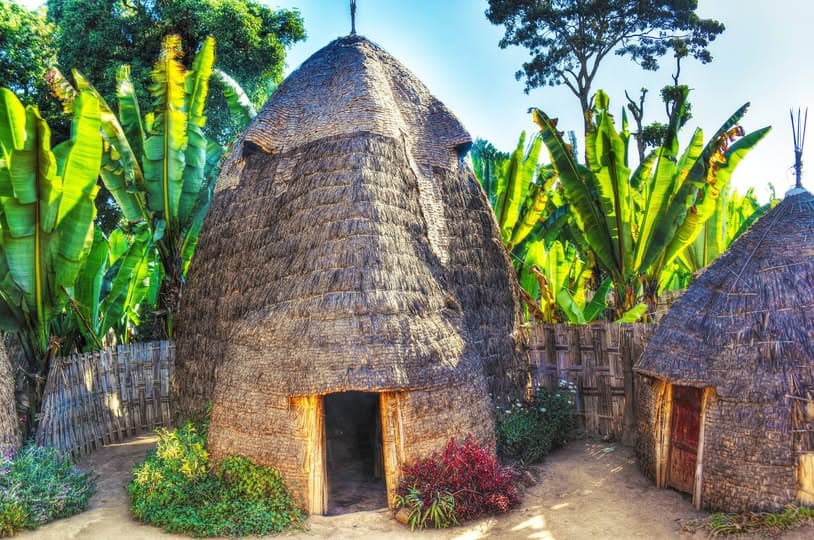Traditional beehive-shaped bamboo hut in Dorze village surrounded by false banana plants