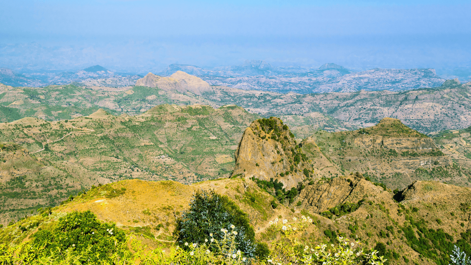Special Ethiopia