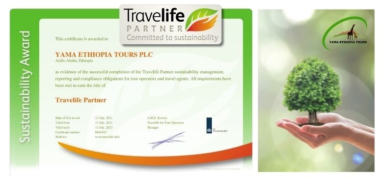 travel life partner
