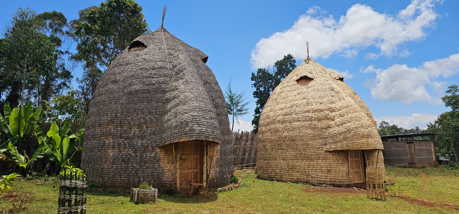 Two tall woven bamboo and enset Dorze beehive huts, one dark grey and one golden, standing on green grass in the Gamo Highlands, Ethiopia