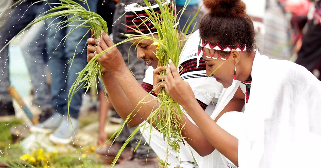 Celebrants holding fresh green grass and dipping it into sacred water during Irreecha thanksgiving festival