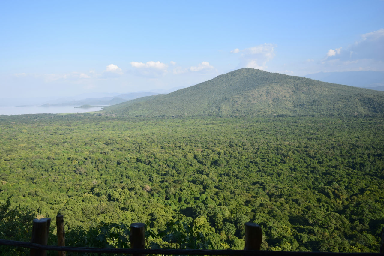 Dense forest view in Nechisar National Park, Ethiopia