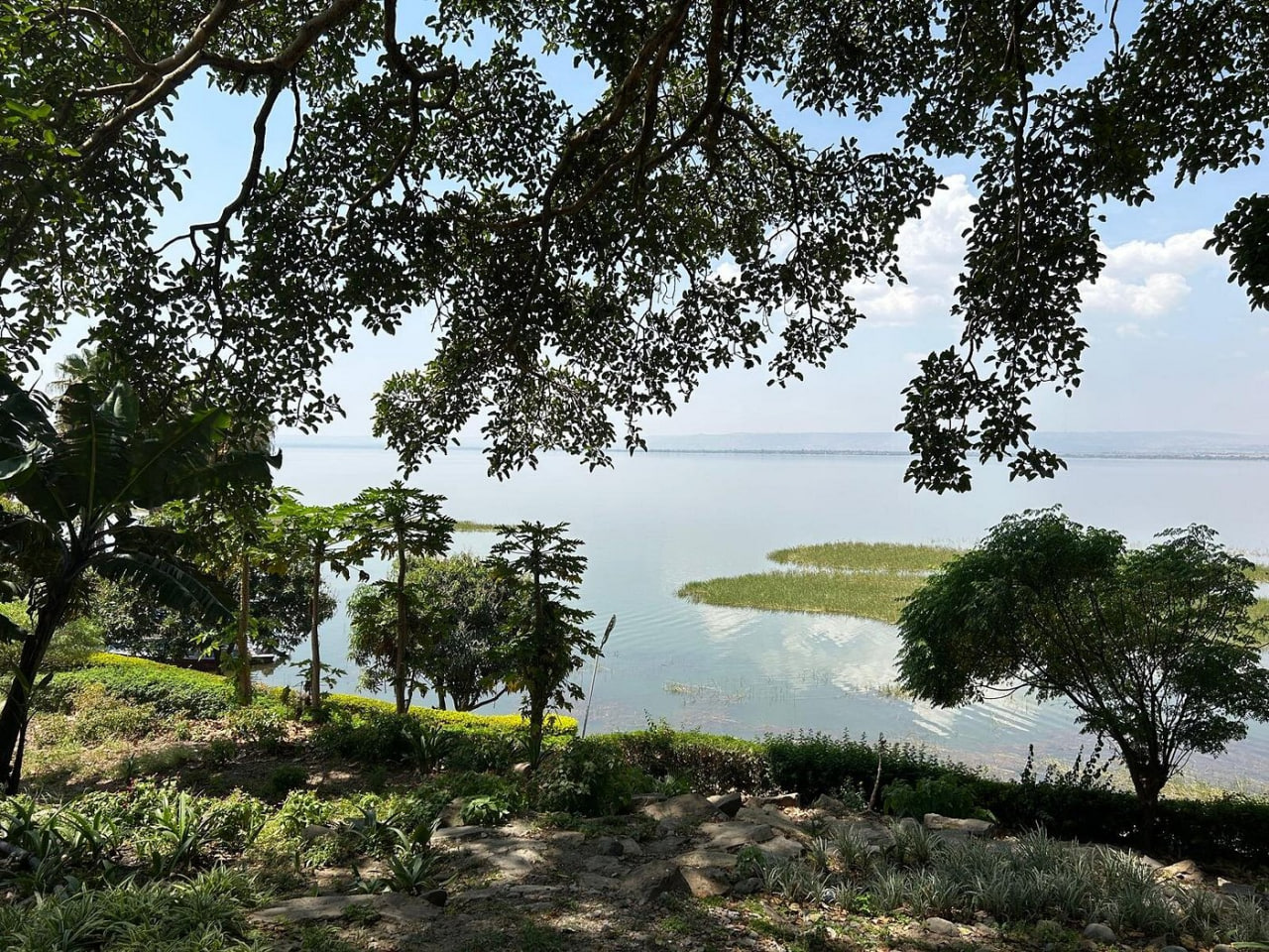 Tranquil lake view framed by trees at Lake Hawassa, Ethiopia