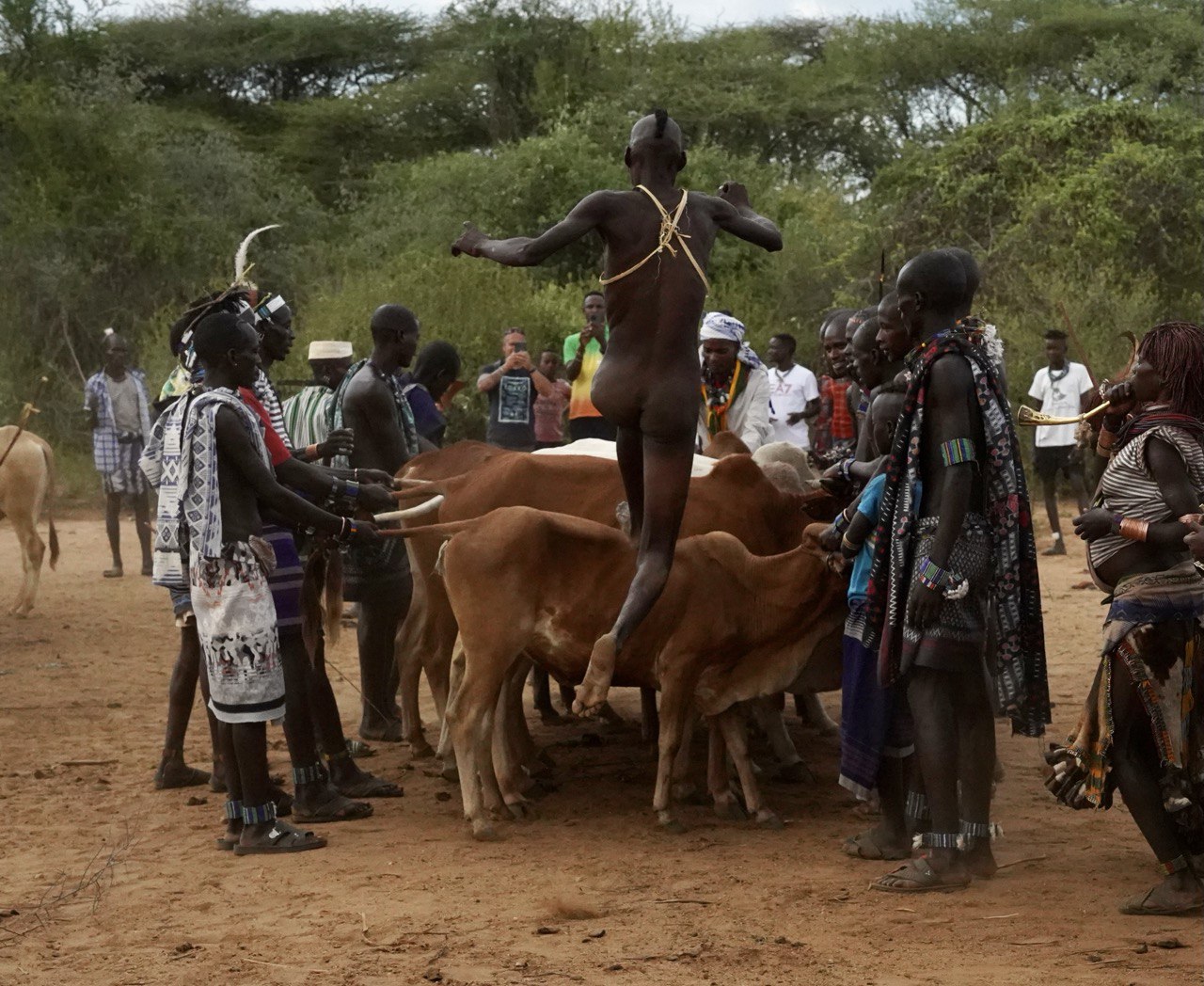 Hamer people participating in a bull jumping ceremony