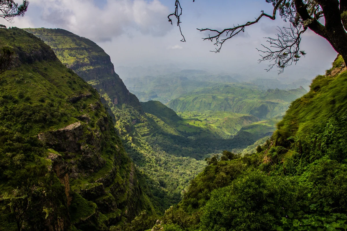 Lush green valley and cliffs in the Simien Mountains, Ethiopia