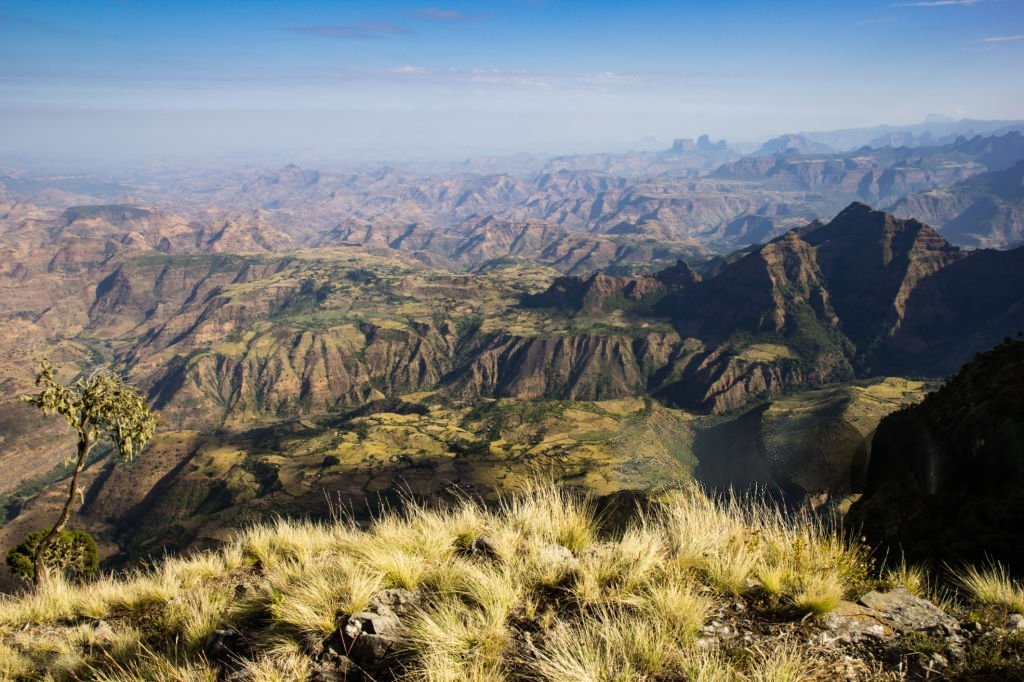 Grassy highland ridge overlooking the rugged peaks of the Simien Mountains