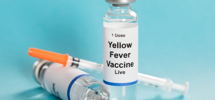 Vial of yellow fever vaccine next to a syringe on a blue background
